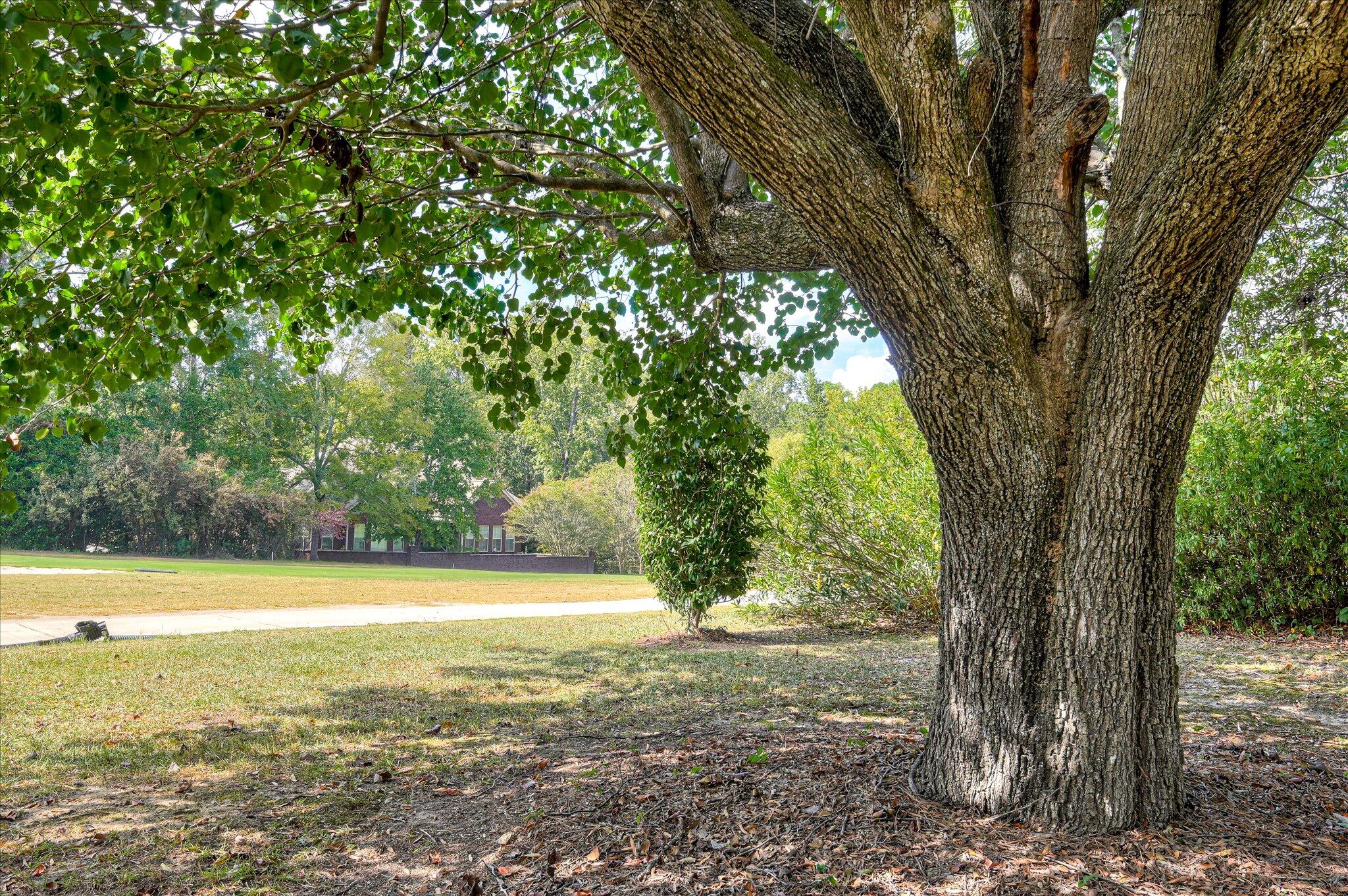 3104 Twin Pine Road Thomson, GA 30824 - Photo 49 of 59 52-152