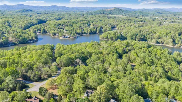 $699,000 | 55 Walnut Trace Drive, Hardy, VA 24101