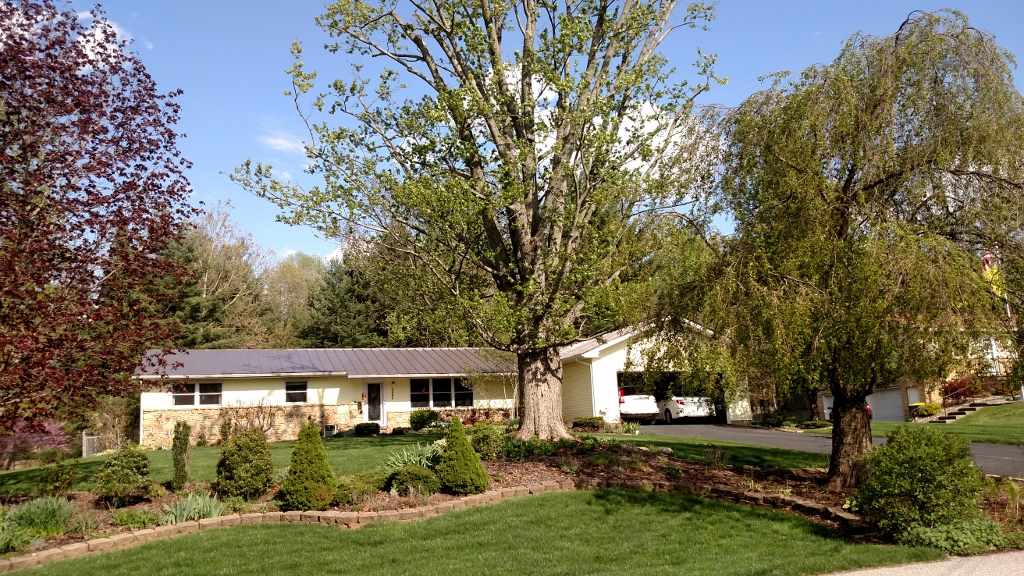 3695 East Robin Road Bloomington, IN 47401 - Photo 3 of 12