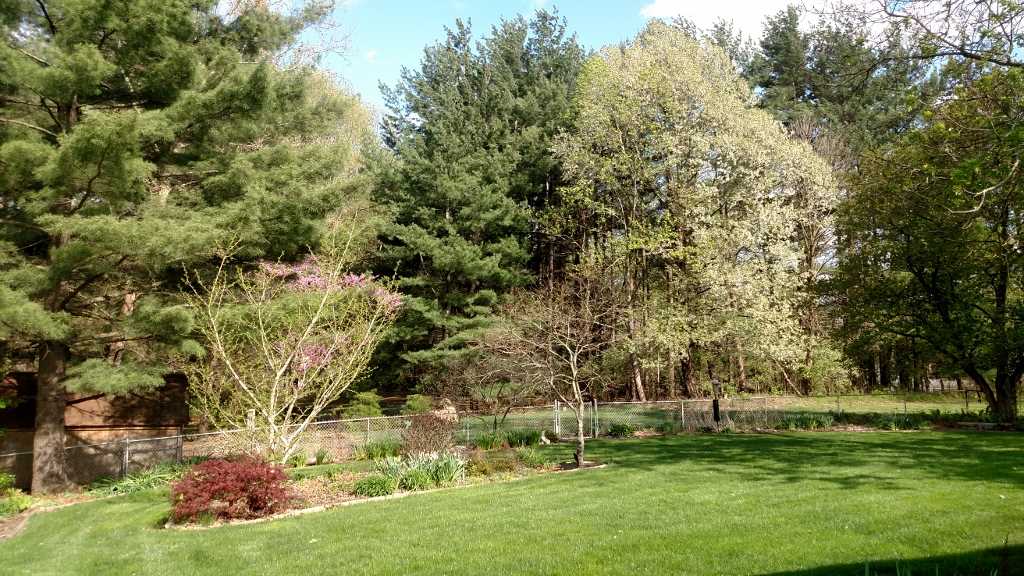 3695 East Robin Road Bloomington, IN 47401 - Photo 8 of 12