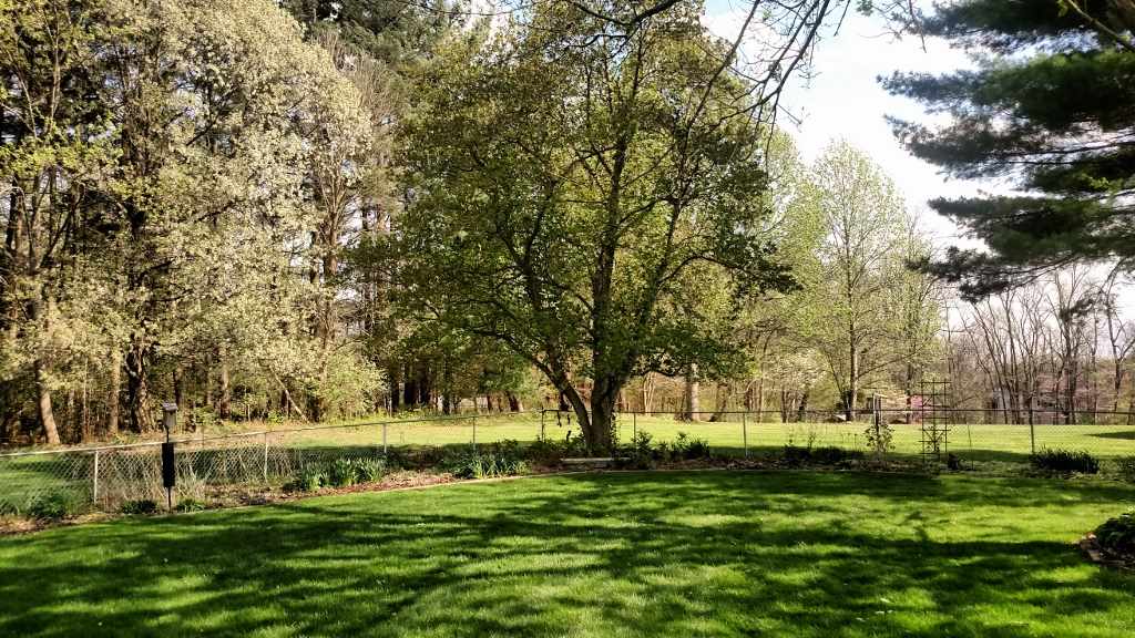 3695 East Robin Road Bloomington, IN 47401 - Photo 10 of 12