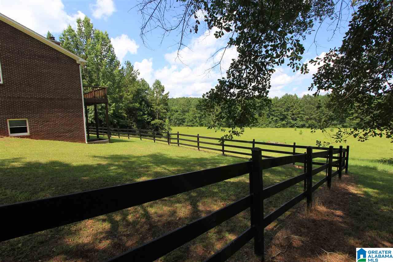 286 Hollingsworth Road Jacksonville, AL 36265 - Photo 22 of 50