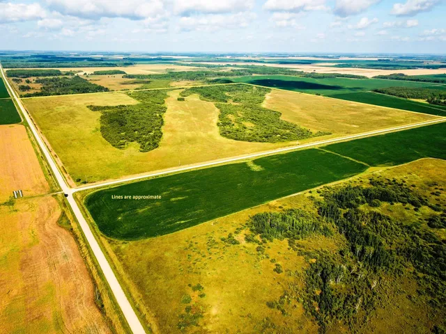 $315,000 | Tbd 220th Street, Badger, MN 56714