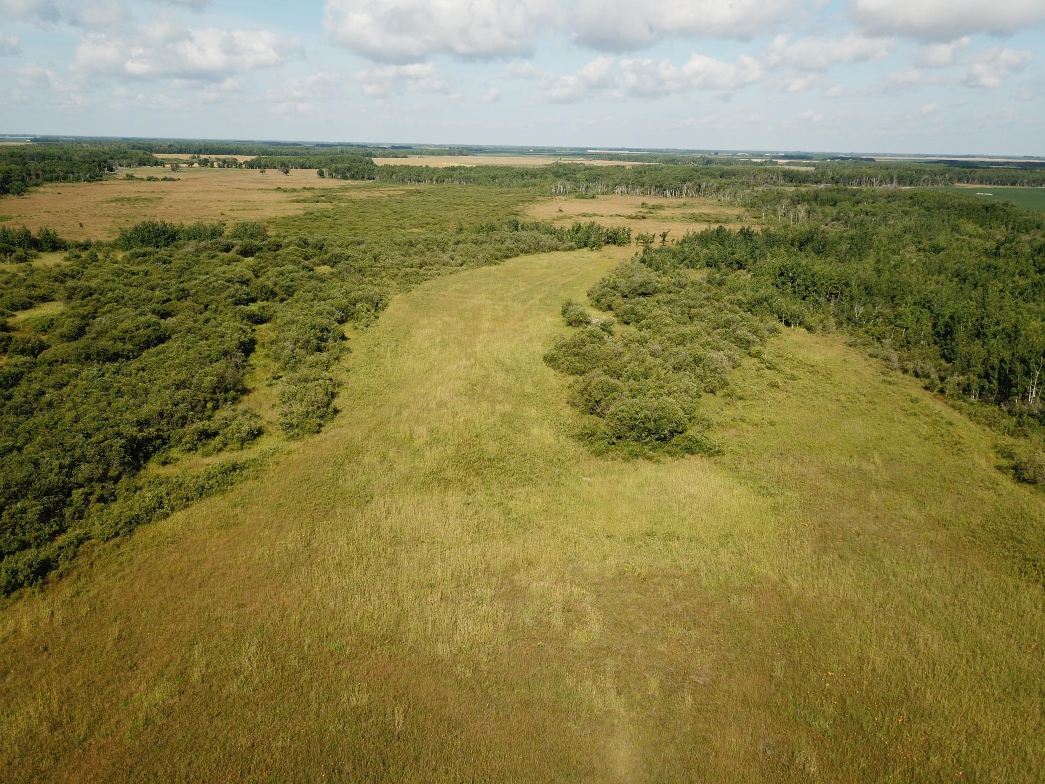 Tbd Tbd 220th Avenue Badger, MN 56714 - Photo 11 of 55