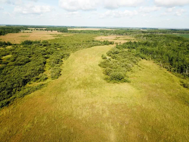 $315,000 | Tbd 220th Street, Badger, MN 56714