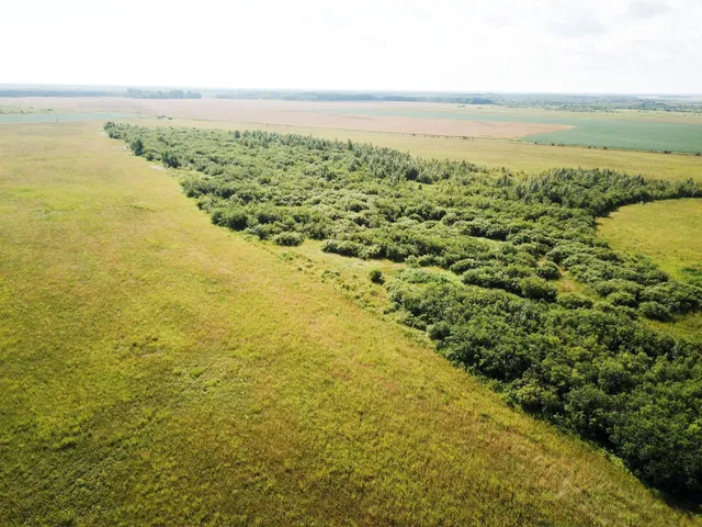 $315,000 | Tbd 220th Street, Badger, MN 56714