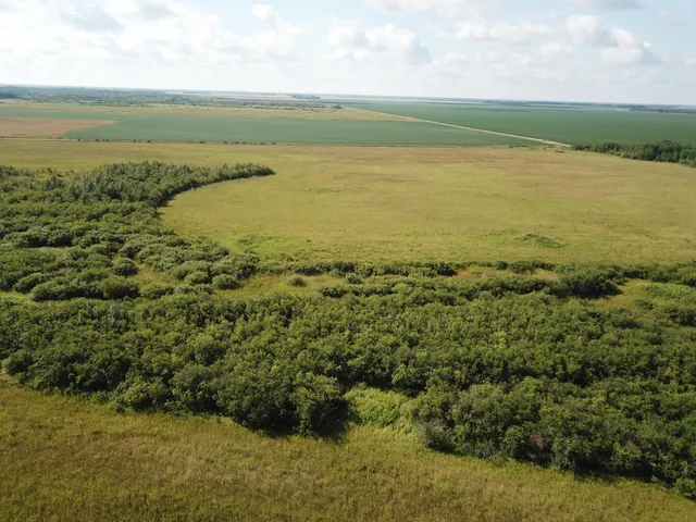 $315,000 | Tbd Tbd 220th Avenue, Badger, MN 56714