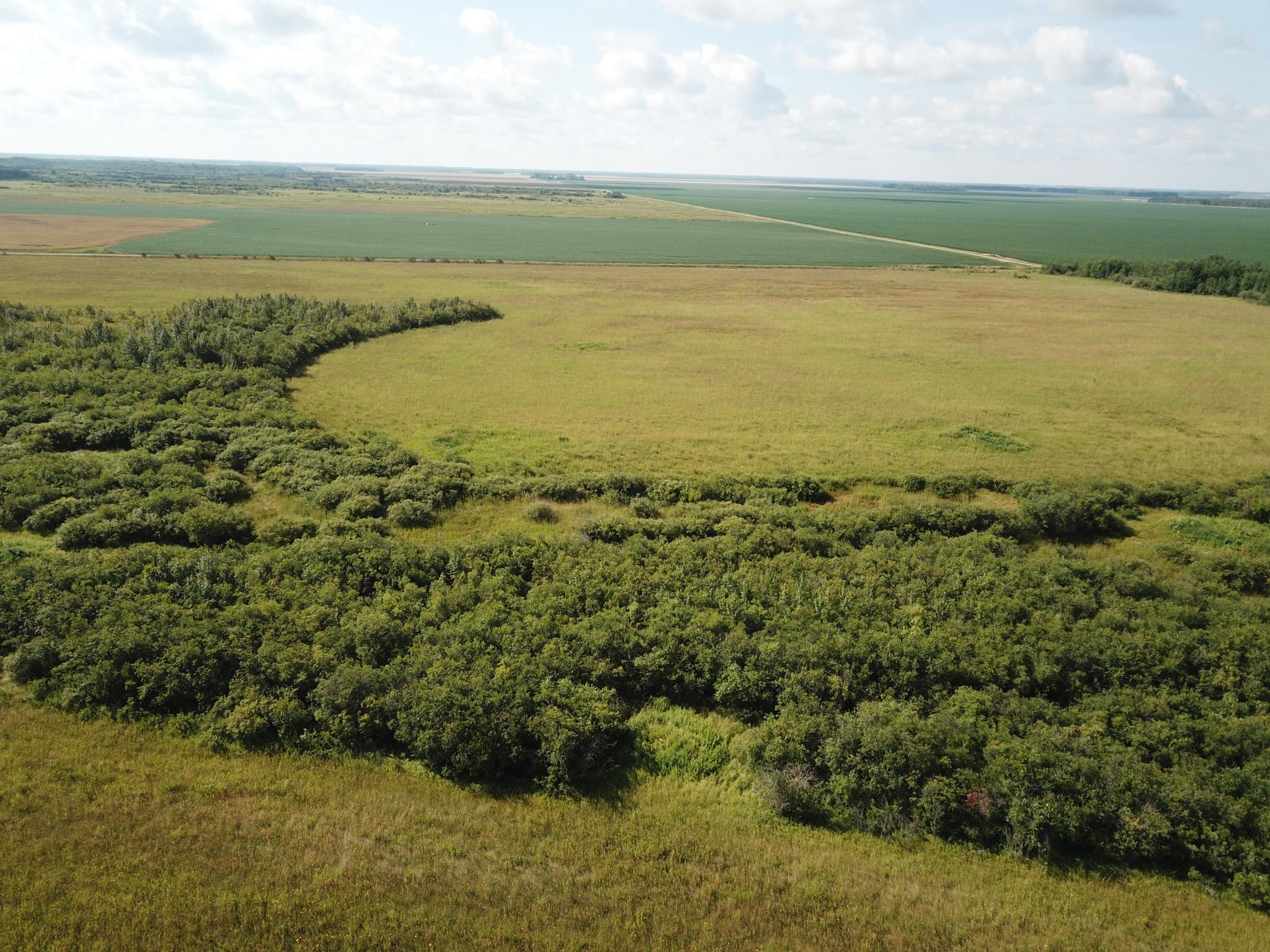 Tbd Tbd 220th Avenue Badger, MN 56714 - Photo 12 of 55