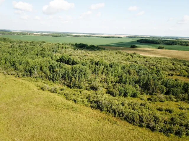 $315,000 | Tbd 220th Street, Badger, MN 56714