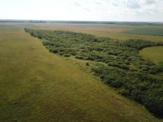 $315,000 | Tbd Tbd 220th Avenue, Badger, MN 56714