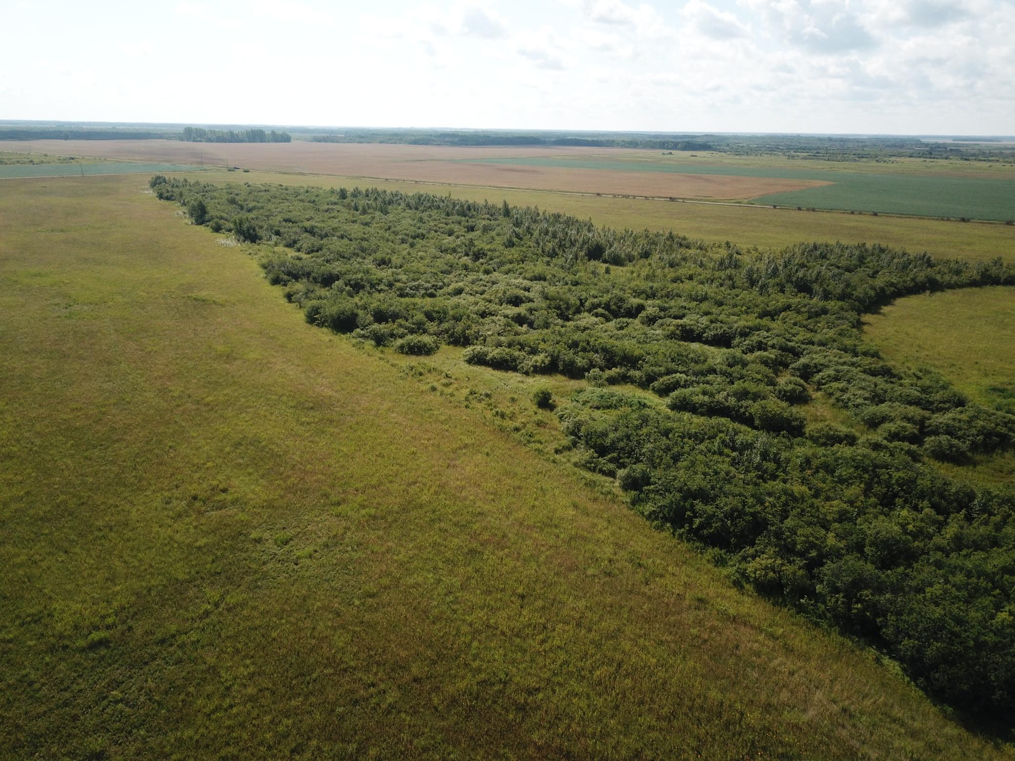 Tbd Tbd 220th Avenue Badger, MN 56714 - Photo 13 of 55