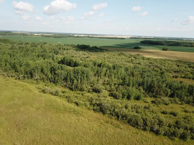 $315,000 | Tbd Tbd 220th Avenue, Badger, MN 56714