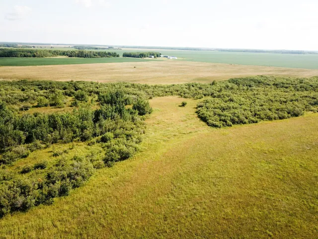 $315,000 | Tbd 220th Street, Badger, MN 56714