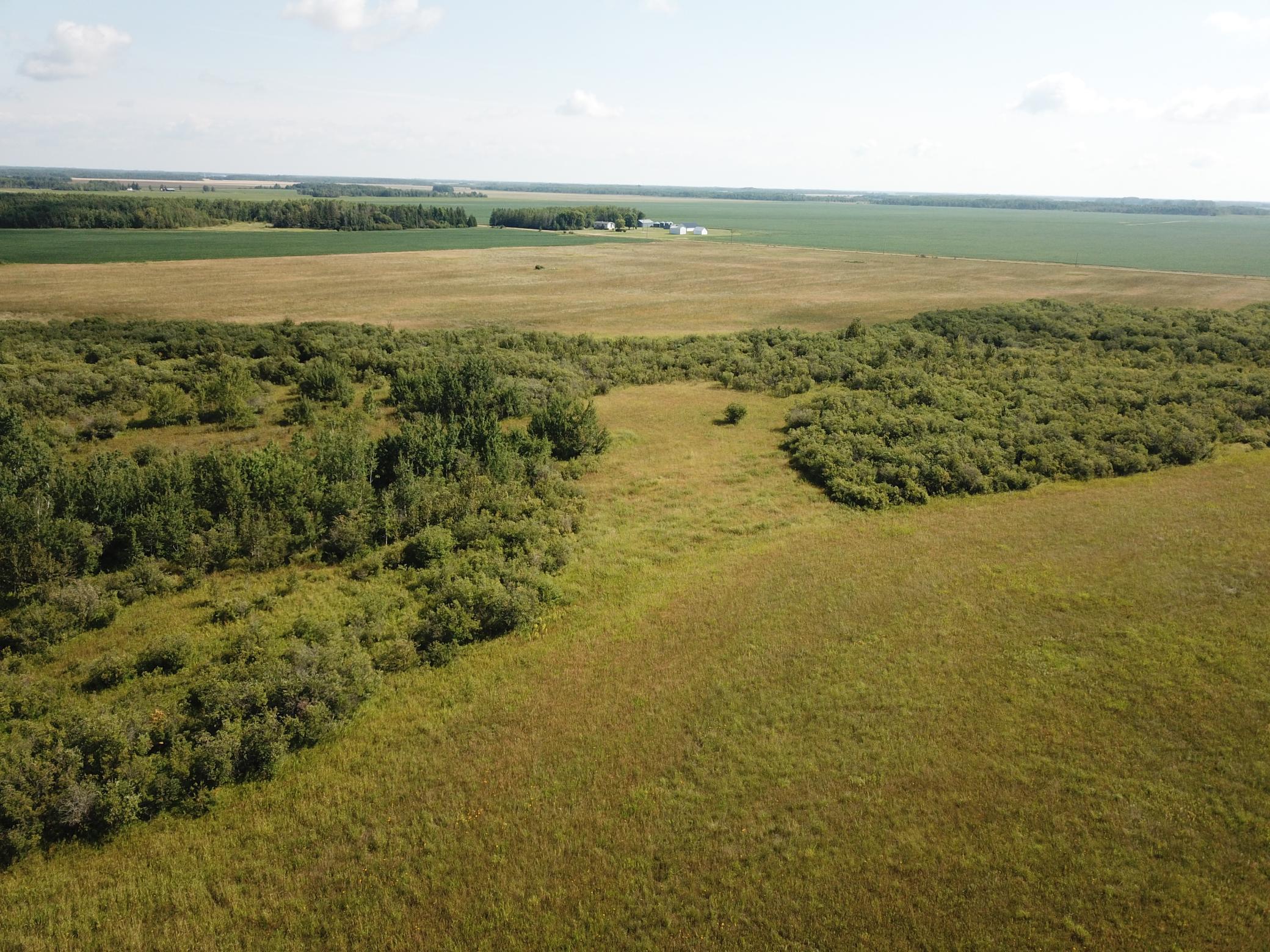 Tbd Tbd 220th Avenue Badger, MN 56714 - Photo 15 of 55