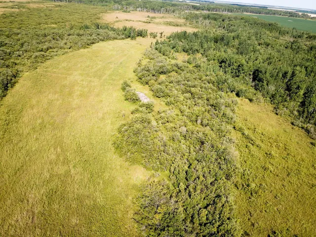 $315,000 | Tbd 220th Street, Badger, MN 56714