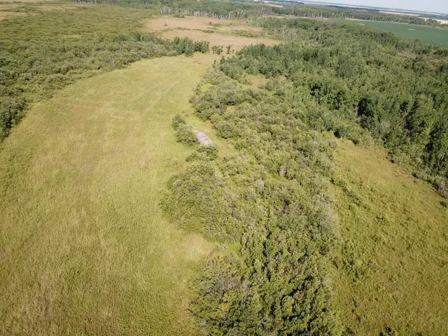 $315,000 | Tbd Tbd 220th Avenue, Badger, MN 56714