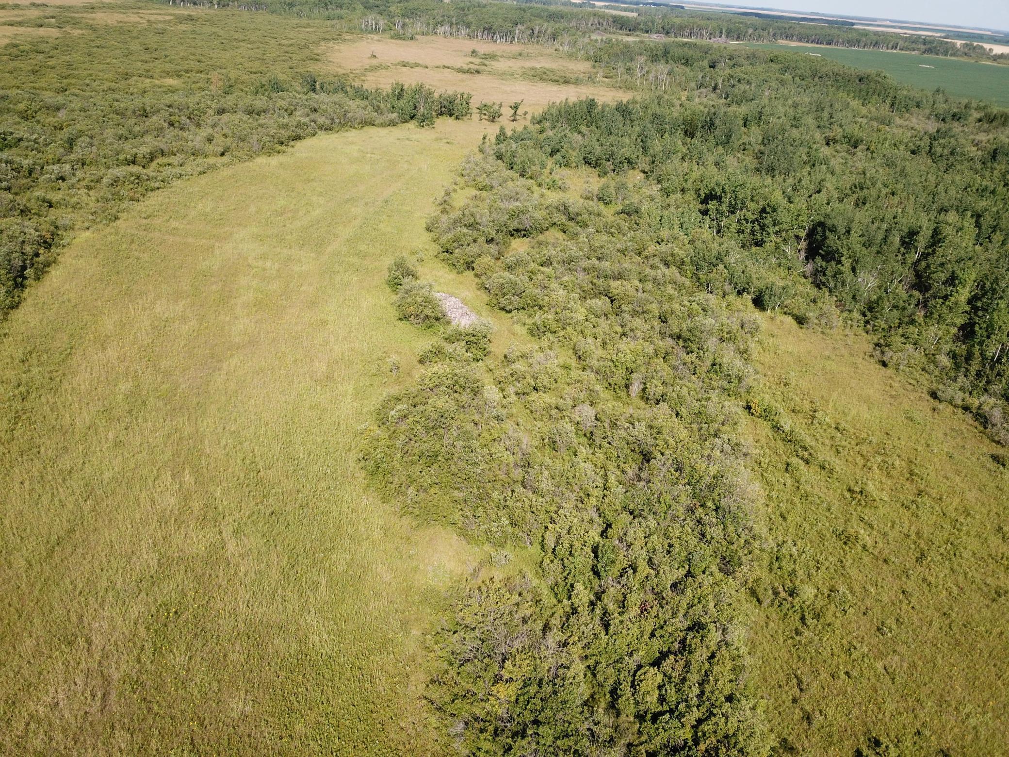 Tbd Tbd 220th Avenue Badger, MN 56714 - Photo 16 of 55