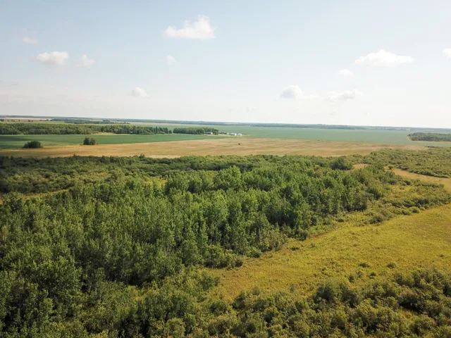 $315,000 | Tbd 220th Street, Badger, MN 56714