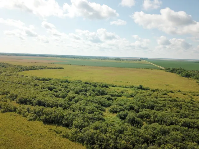 $315,000 | Tbd 220th Street, Badger, MN 56714