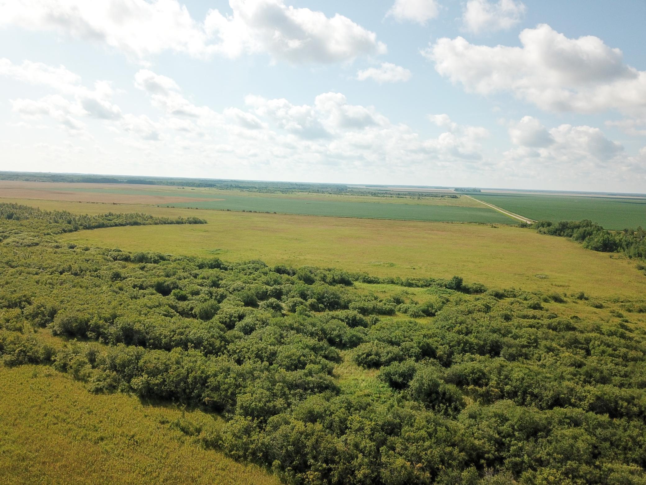 Tbd 220th Street Badger, MN 56714 - Photo 17 of 57