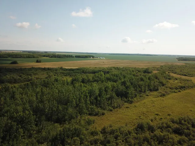 $315,000 | Tbd Tbd 220th Avenue, Badger, MN 56714