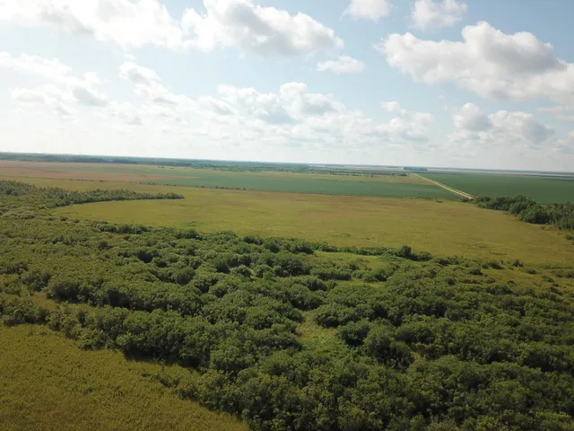 $315,000 | Tbd Tbd 220th Avenue, Badger, MN 56714