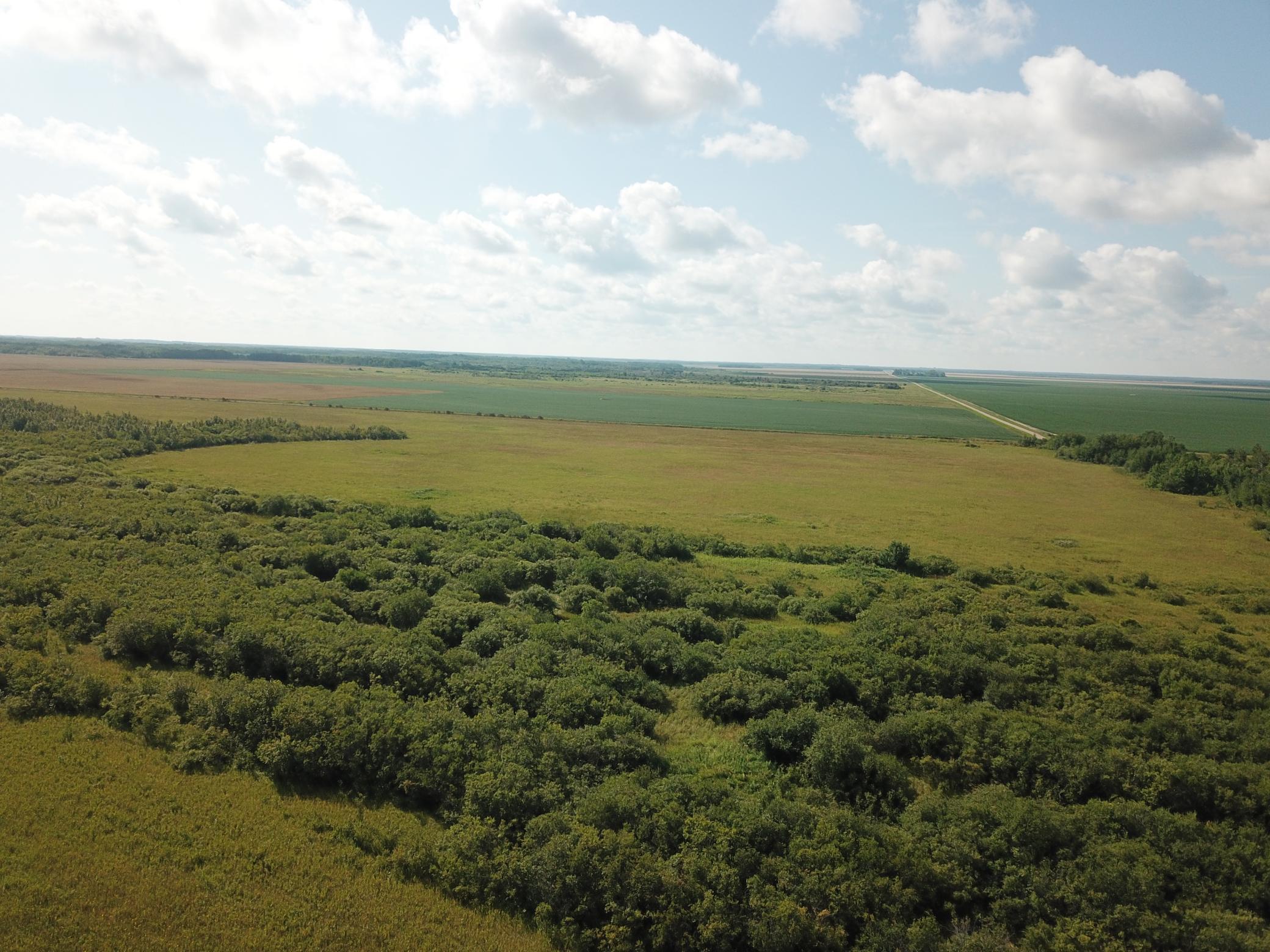 Tbd Tbd 220th Avenue Badger, MN 56714 - Photo 18 of 55