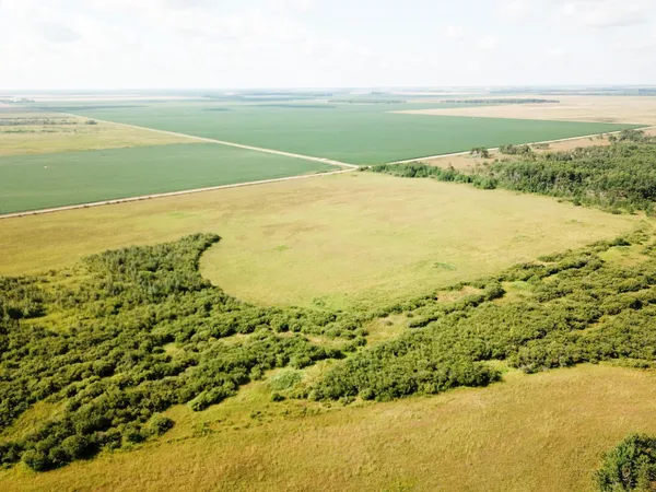 $315,000 | Tbd 220th Street, Badger, MN 56714