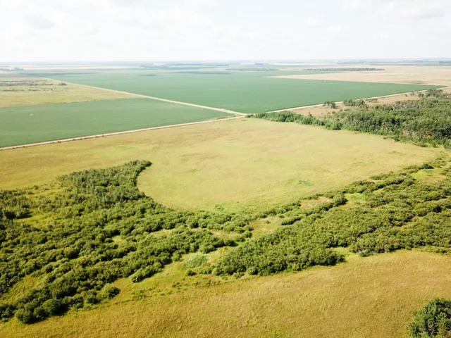 $315,000 | Tbd 220th Street, Badger, MN 56714