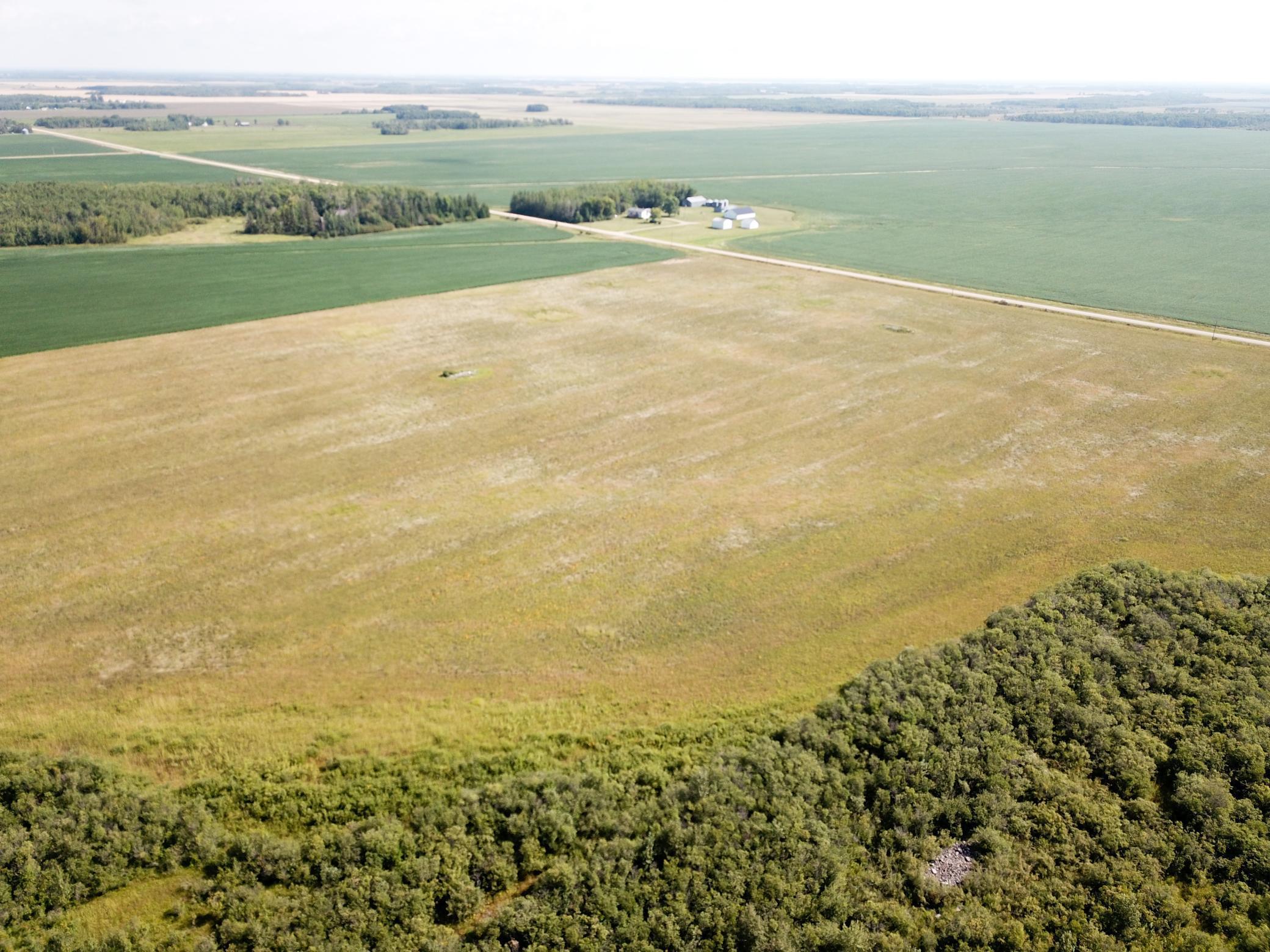 Tbd 220th Street Badger, MN 56714 - Photo 19 of 57