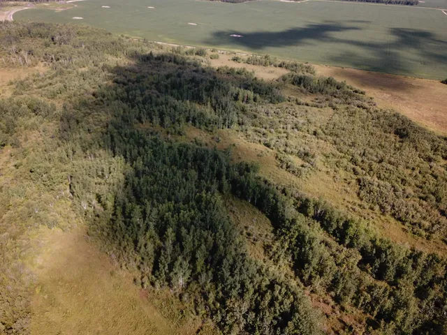 $315,000 | Tbd Tbd 220th Avenue, Badger, MN 56714