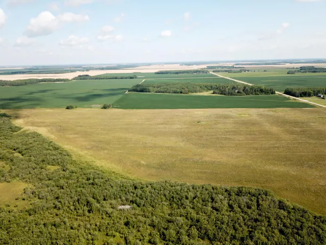 $315,000 | Tbd 220th Street, Badger, MN 56714