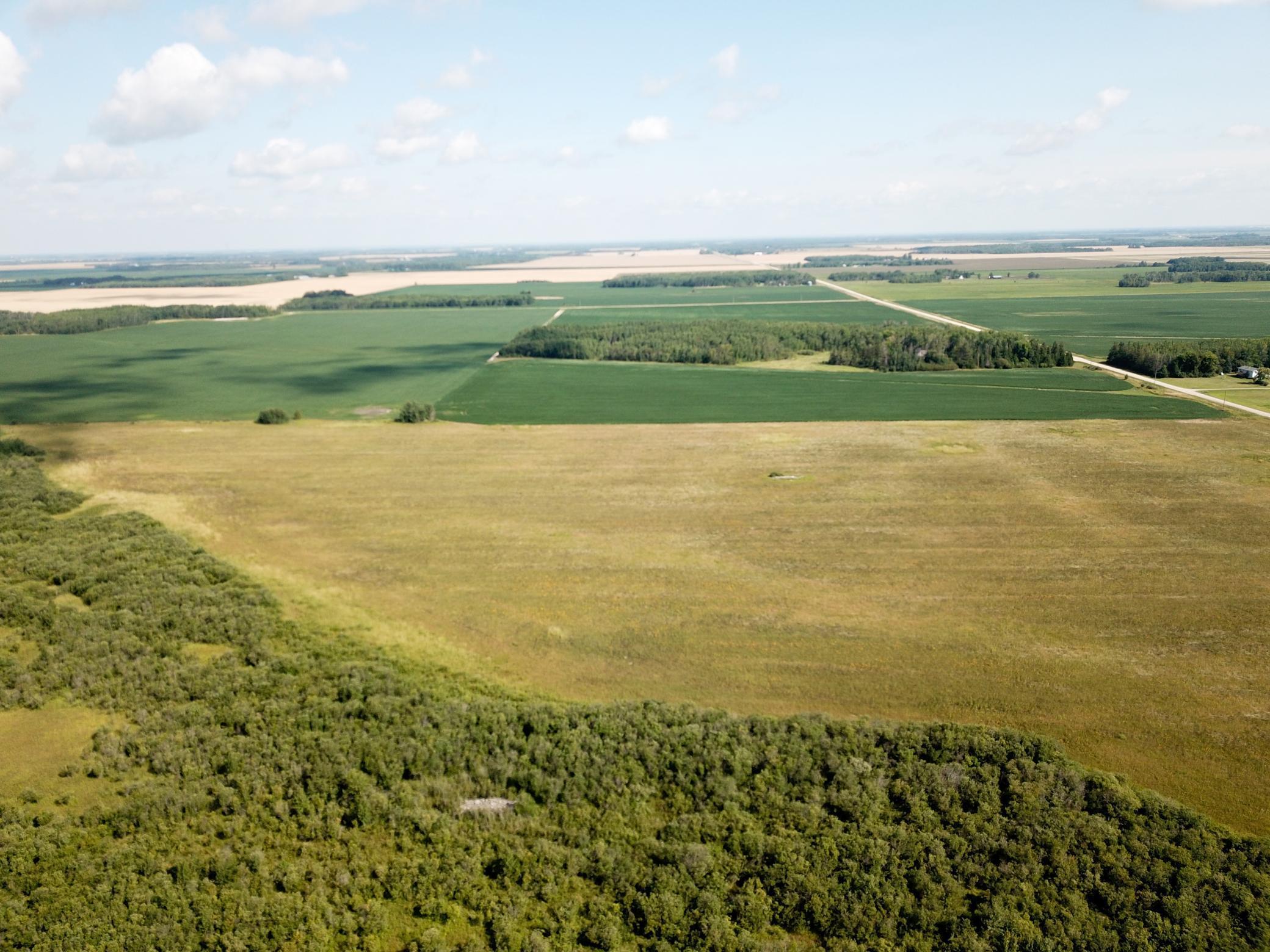 Tbd 220th Street Badger, MN 56714 - Photo 20 of 57