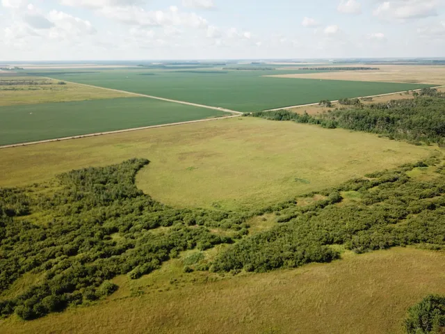 $315,000 | Tbd Tbd 220th Avenue, Badger, MN 56714