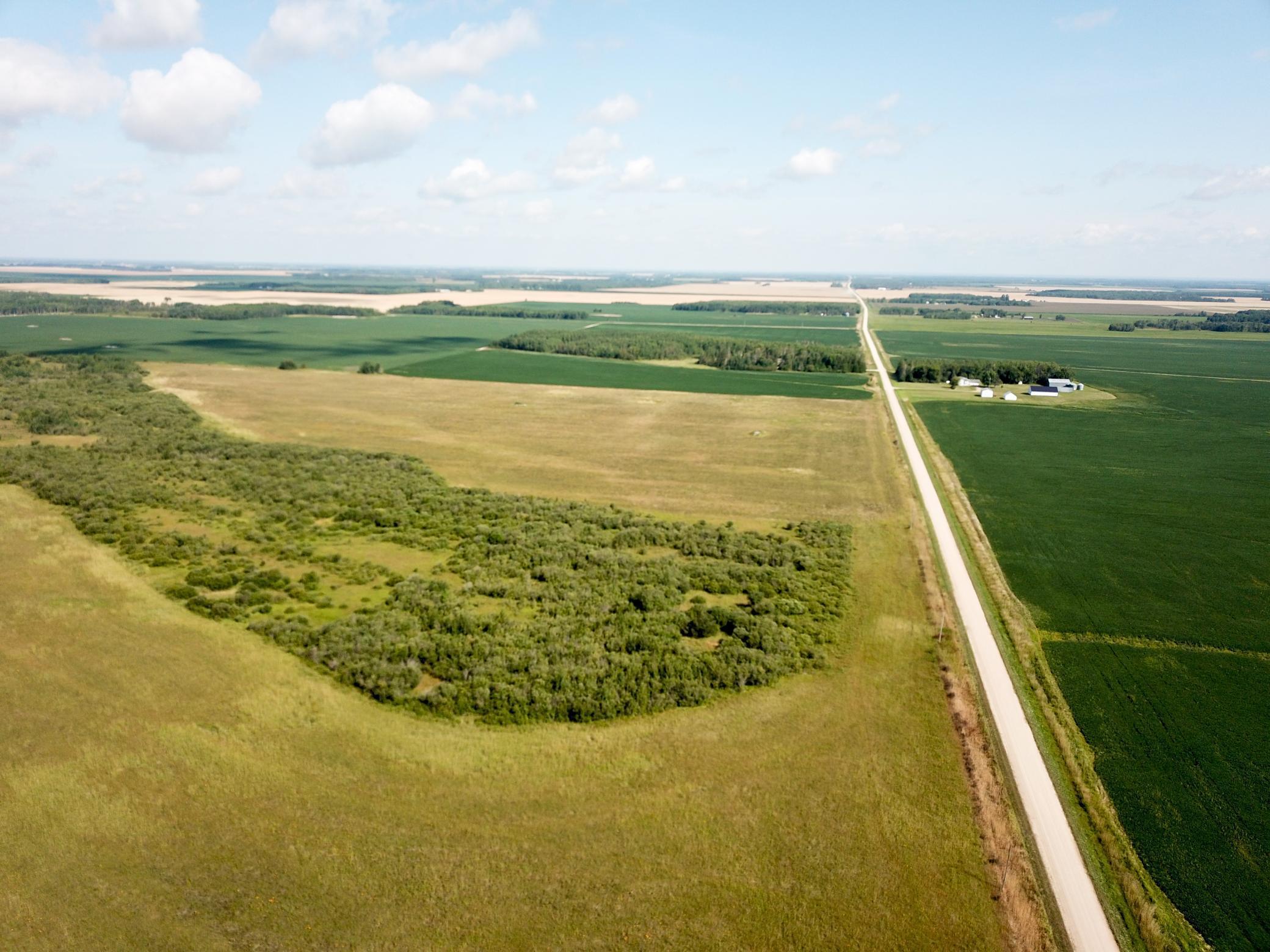 Tbd 220th Street Badger, MN 56714 - Photo 22 of 57