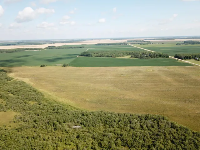 $315,000 | Tbd Tbd 220th Avenue, Badger, MN 56714