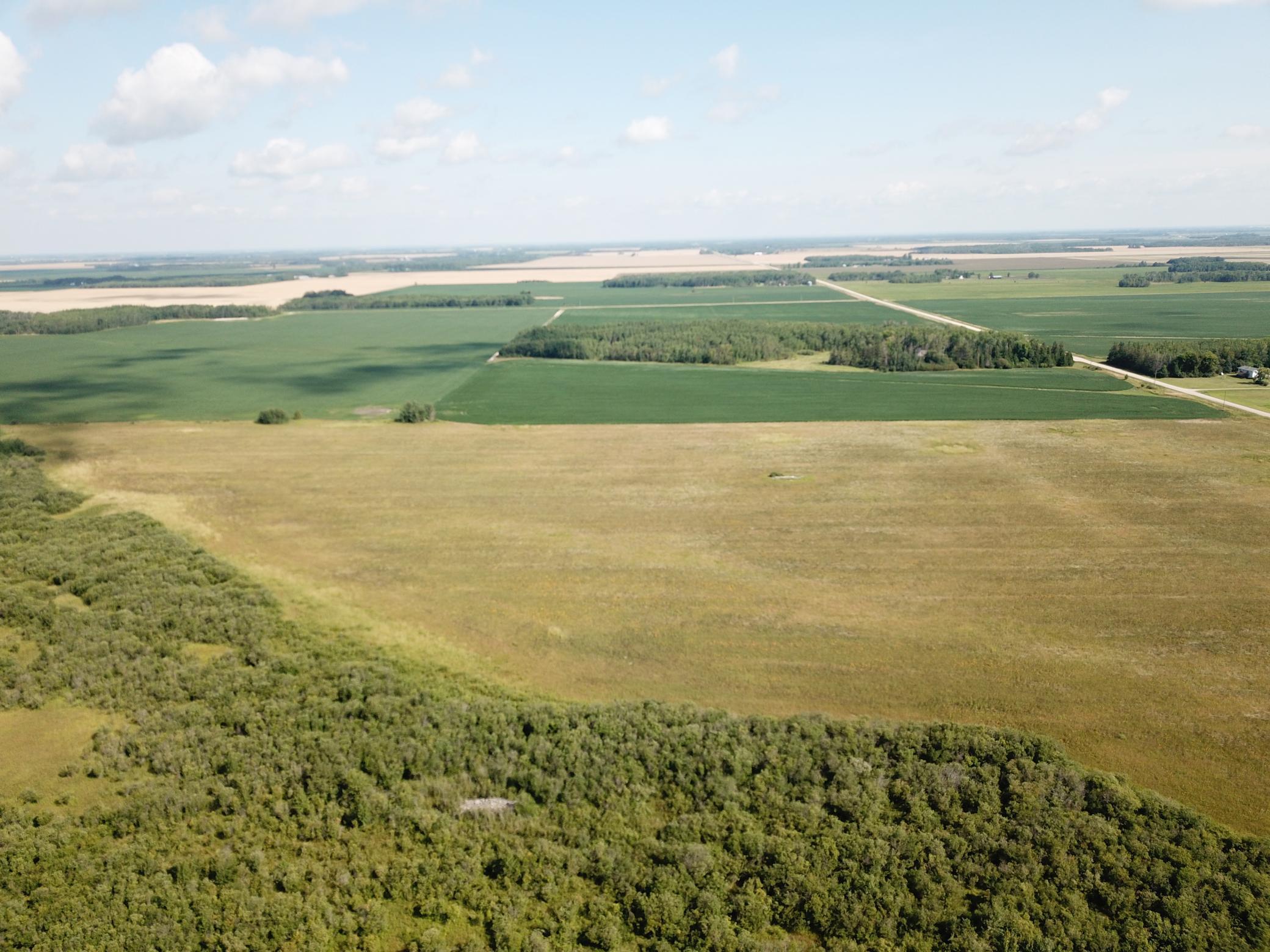 Tbd Tbd 220th Avenue Badger, MN 56714 - Photo 22 of 55