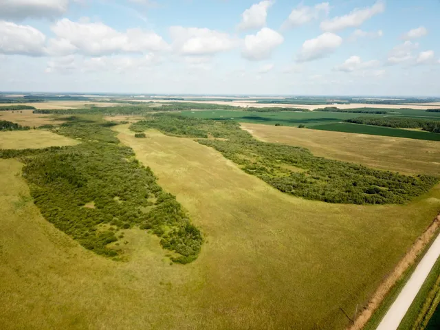 $315,000 | Tbd 220th Street, Badger, MN 56714