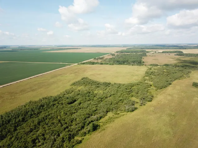 $315,000 | Tbd Tbd 220th Avenue, Badger, MN 56714