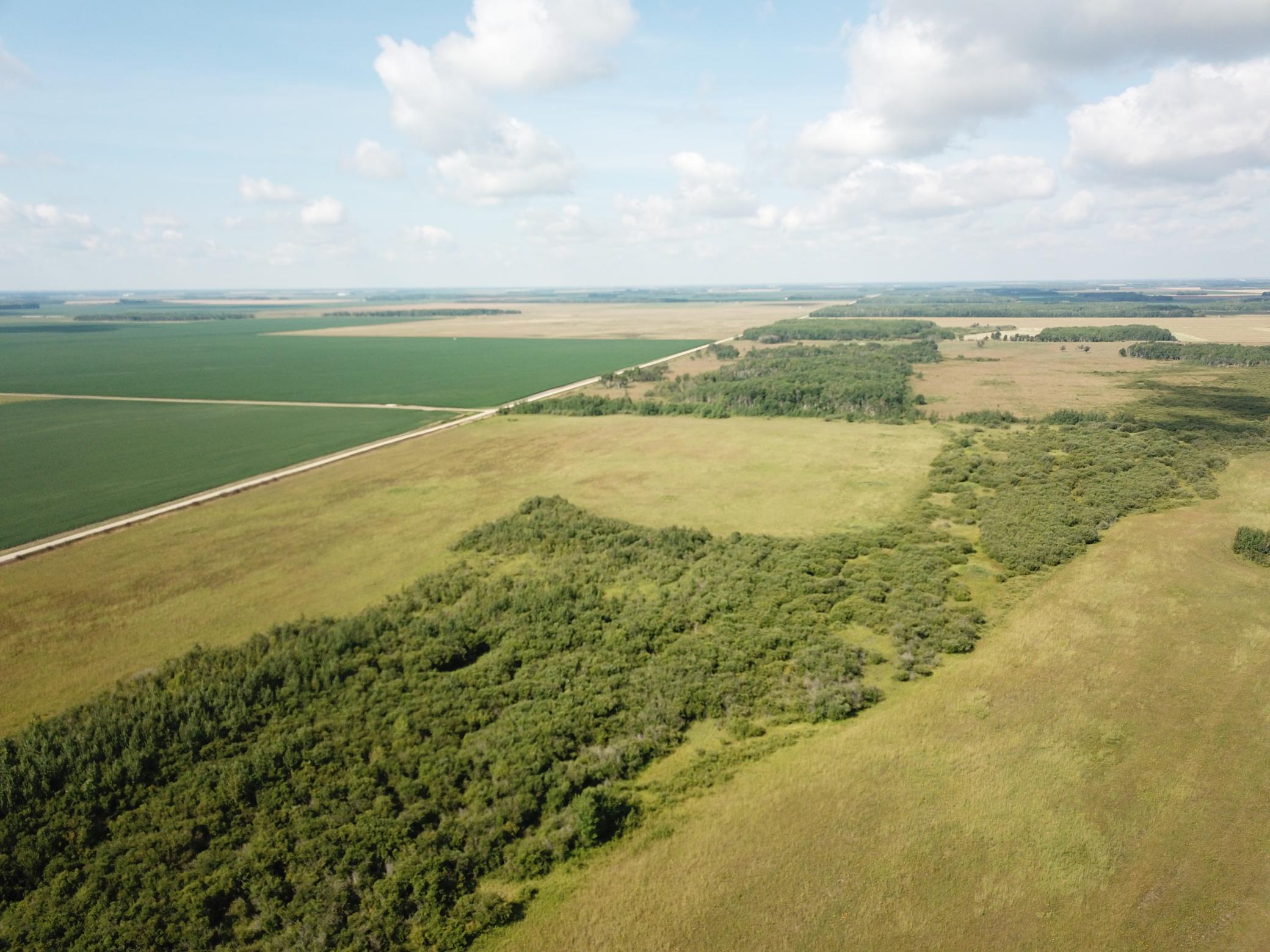 Tbd Tbd 220th Avenue Badger, MN 56714 - Photo 24 of 55