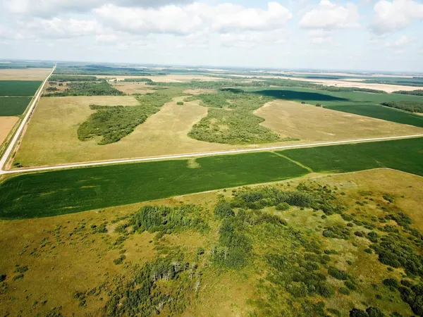 $315,000 | Tbd 220th Street, Badger, MN 56714