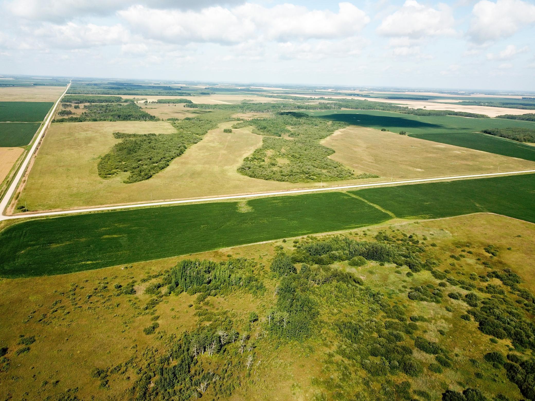Tbd 220th Street Badger, MN 56714 - Photo 24 of 57