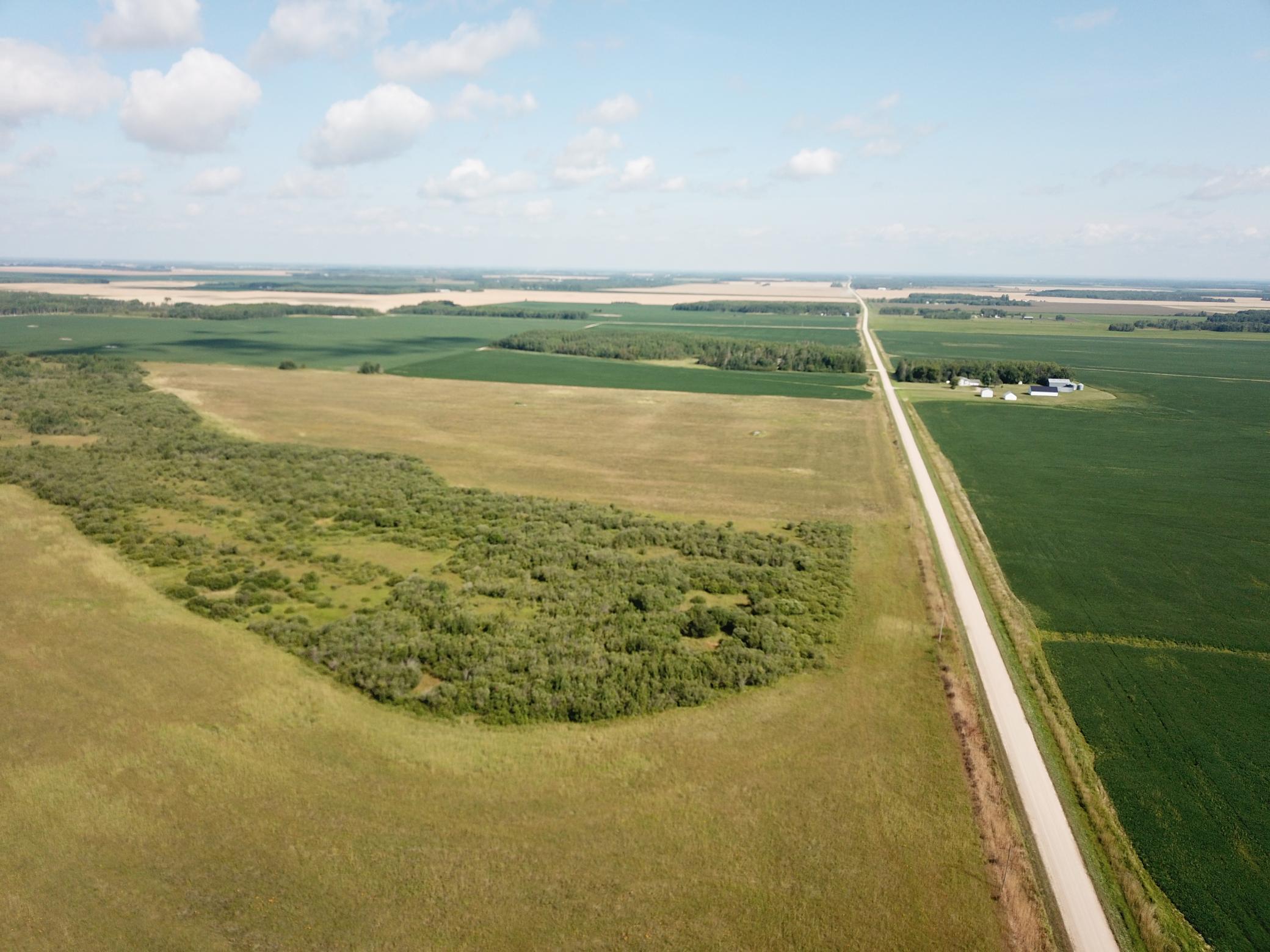 Tbd Tbd 220th Avenue Badger, MN 56714 - Photo 25 of 55