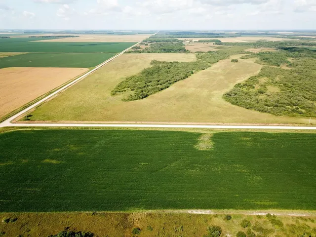 $315,000 | Tbd 220th Street, Badger, MN 56714