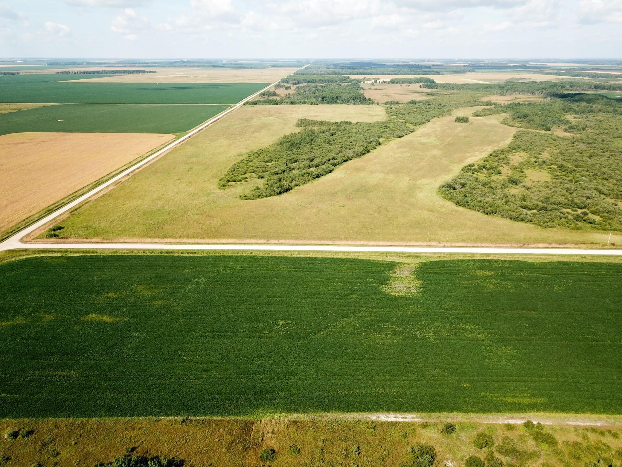 Tbd 220th Street Badger, MN 56714 - Photo 25 of 57