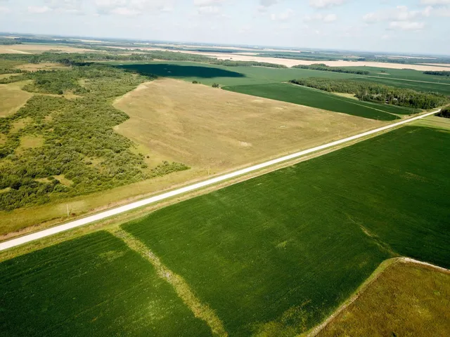 $315,000 | Tbd 220th Street, Badger, MN 56714