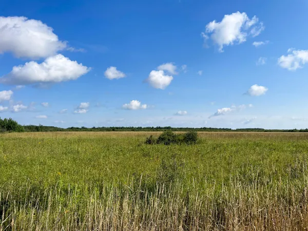 $315,000 | Tbd 220th Street, Badger, MN 56714