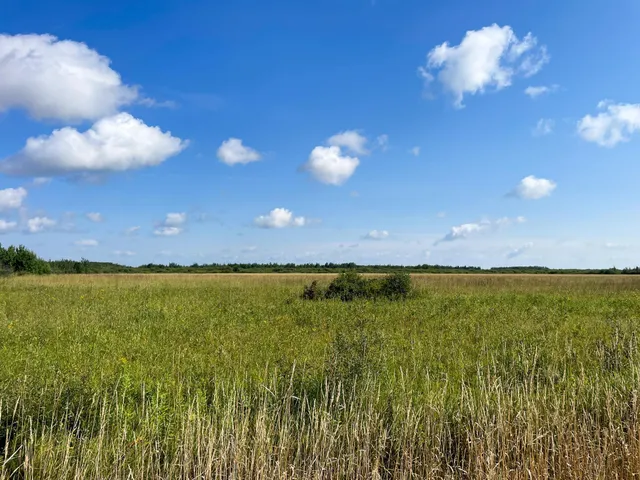 $315,000 | Tbd 220th Street, Badger, MN 56714