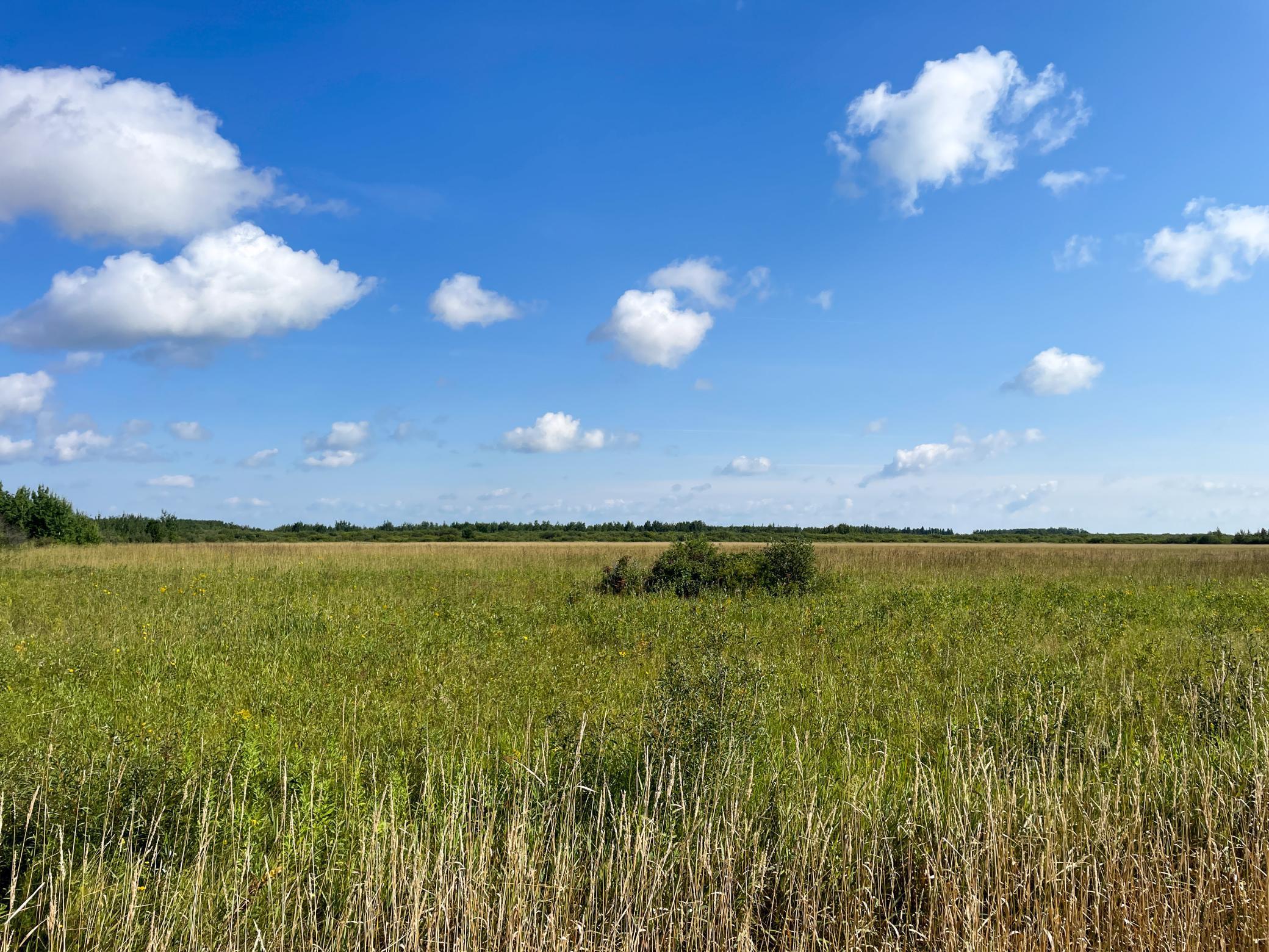 Tbd 220th Street Badger, MN 56714 - Photo 27 of 57