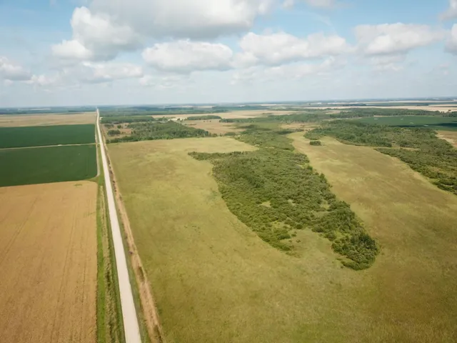 $315,000 | Tbd Tbd 220th Avenue, Badger, MN 56714